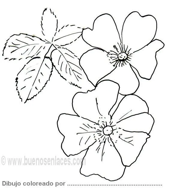 Grafitis de flore de cayena imagenes - Imagui