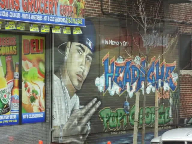 Amics de Bellver: Visita al Bronx