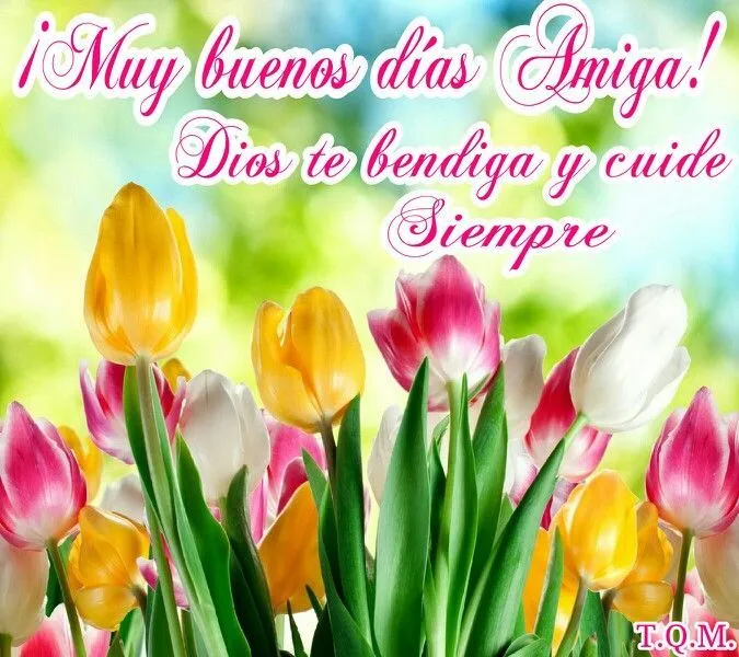 Muy buenos días Amiga! Dios te bendiga y cuide siempre. T.Q.M. ... Muy buenos días Amiga! Dios te bendiga y cuide siempre. T.Q.M. ...