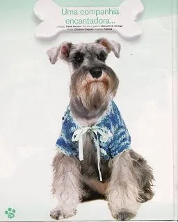 Amiga de las Manualidades: Ropa tejida a crochet para tu mascota