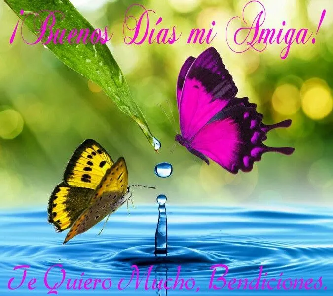 Buenos Días mi Amiga! Te Quiero Mucho, Bendiciones. | AMISTAD ... Buenos Días mi Amiga! Te Quiero Mucho, Bendiciones. | AMISTAD ...