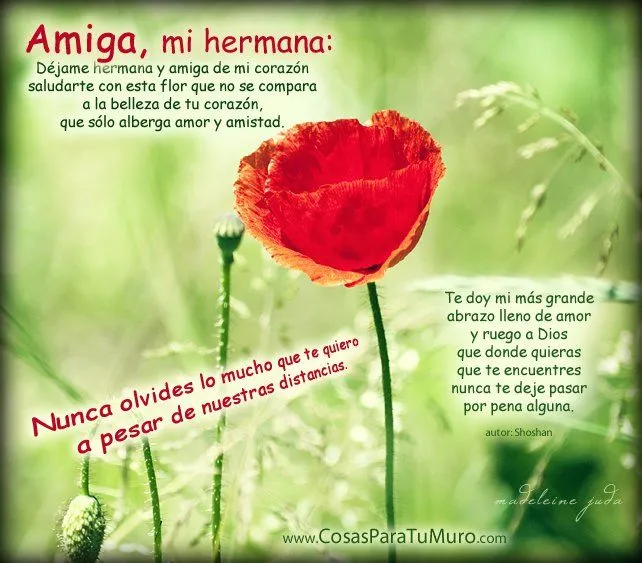 amiga_mi_hermana-other.jpg