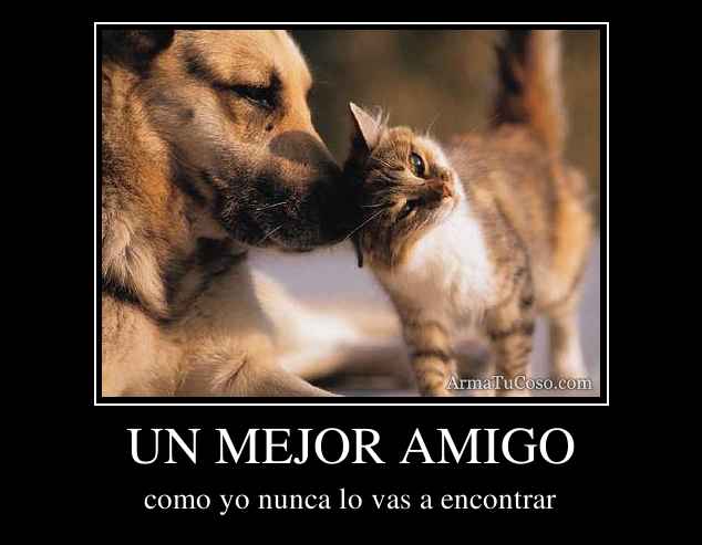 UN MEJOR AMIGO UN MEJOR AMIGO