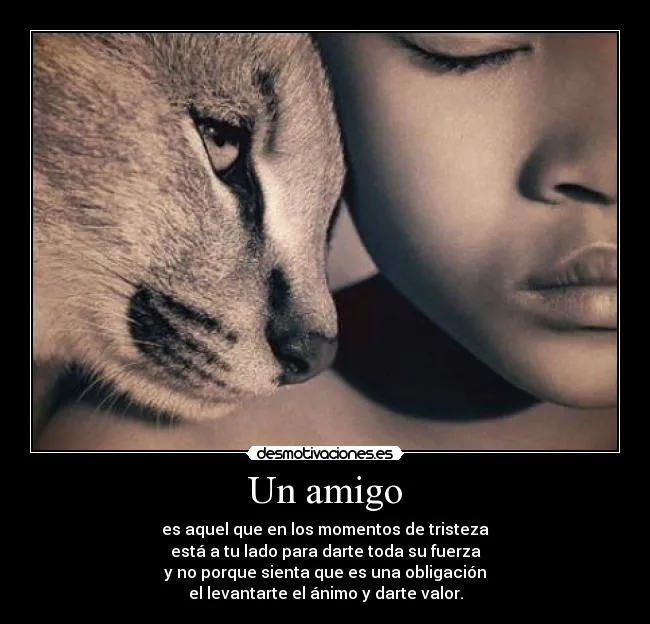 Un amigo | Desmotivaciones