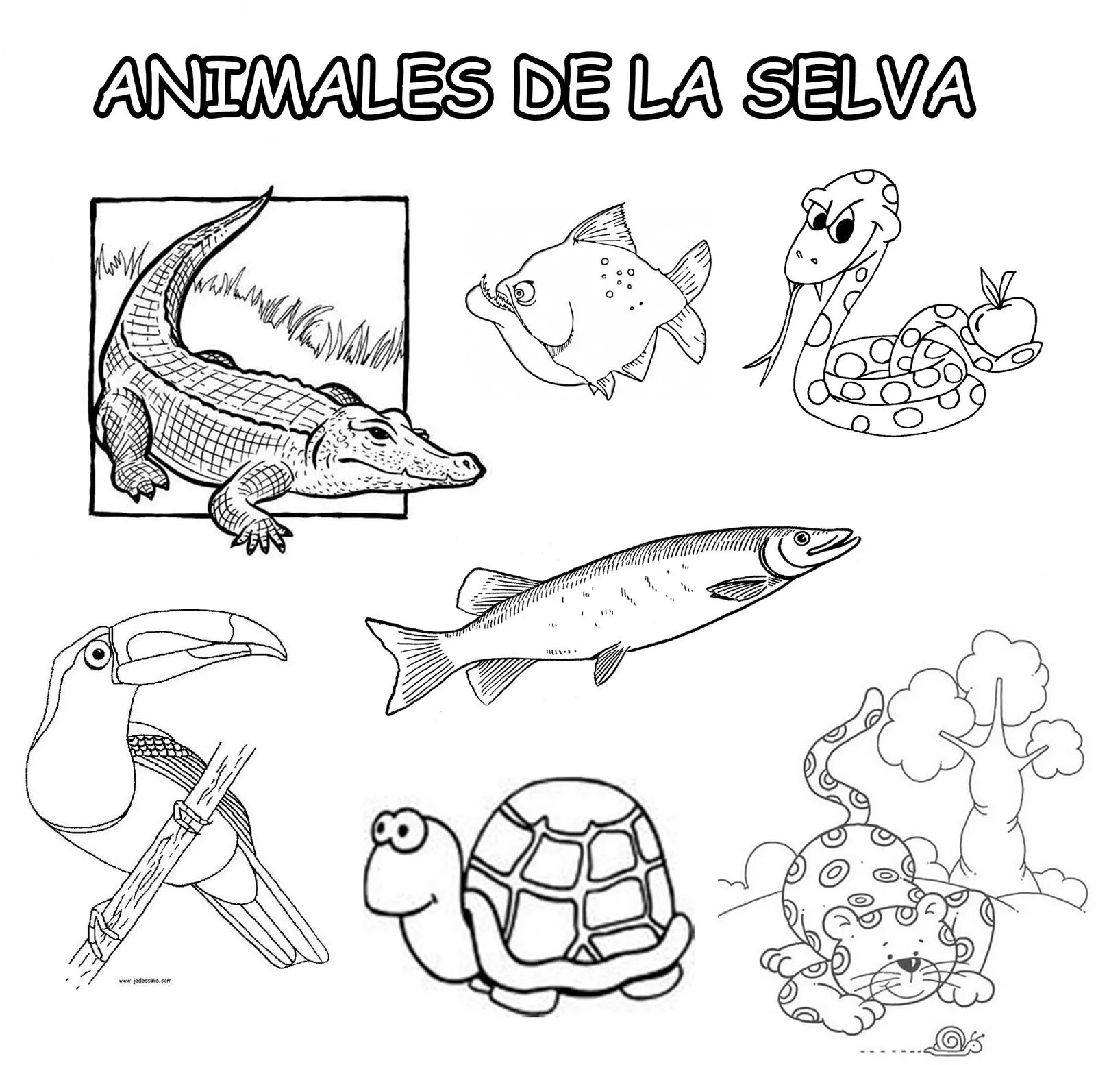 EL AMIGO QUE SIEMPRE ESTÁ CUANDO TÚ LO NECESITAS: ANIMALES DE LAS ... EL AMIGO QUE SIEMPRE ESTÁ CUANDO TÚ LO NECESITAS: ANIMALES DE LAS ...