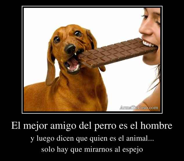 El Mejor Amigo del Hombre - Taringa!