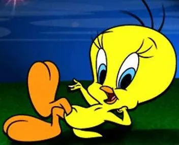 Mis fotos: PIOLIN