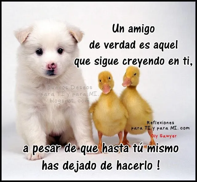 UN AMIGO DE VERDAD...* | Amigos de verdad, Frases de amistad, Verdades UN AMIGO DE VERDAD...* | Amigos de verdad, Frases de amistad, Verdades