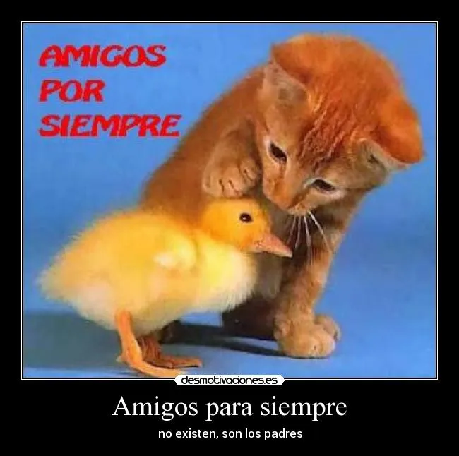 Amigos para siempre | Desmotivaciones
