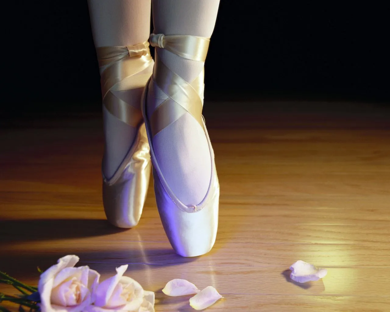Amigos de las Estrellas: Ballet, Perseverancia y Ensoñación ... Amigos de las Estrellas: Ballet, Perseverancia y Ensoñación ...