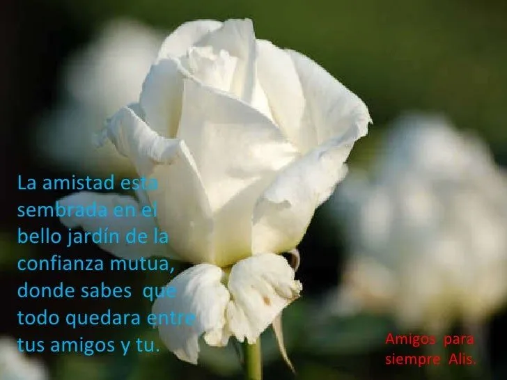 amigos-para-siempre-29-728.jpg ...
