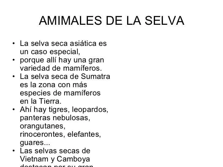 AMIMALES DE LA SELVA