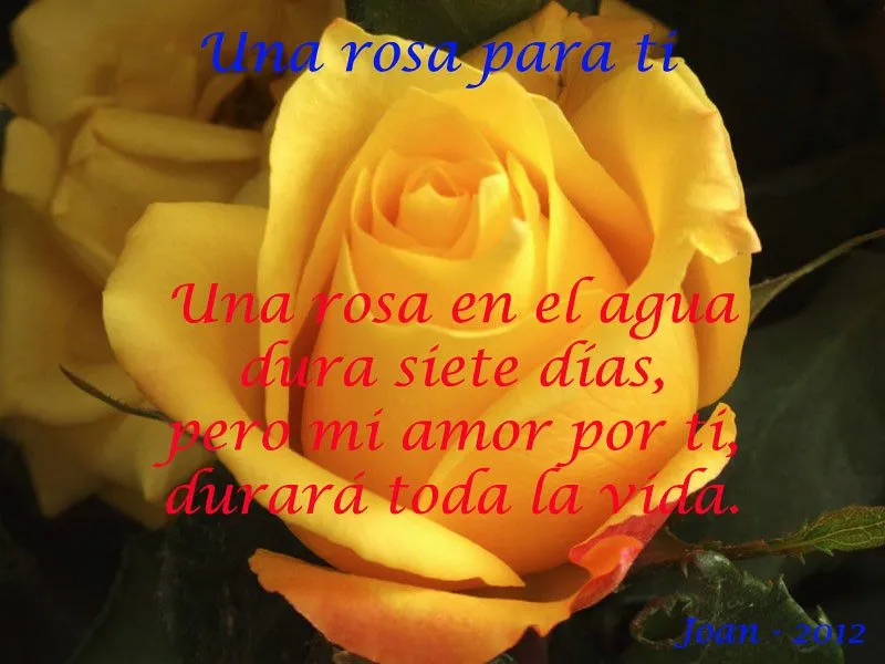 Una rosa para ti - Poemas de amor