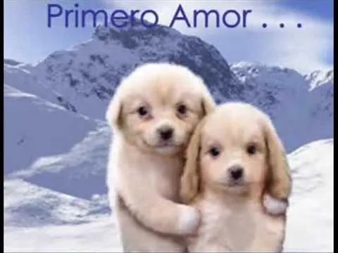 amistad: amor y paz - YouTube