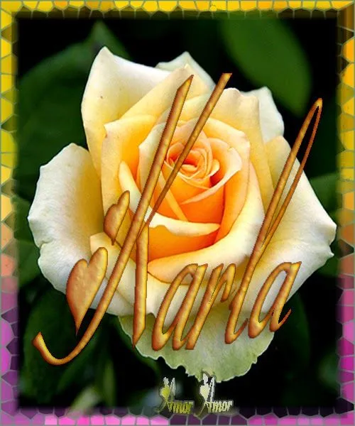 Amistad reflexiones y Algo más: Nombre en Rosas Amistad reflexiones y Algo más: Nombre en Rosas