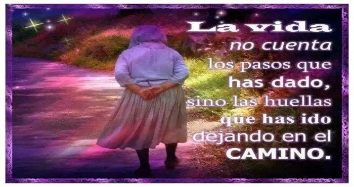 Amistad reflexiones y Algo más: LA VIDA | Cosas para comprar ... Amistad reflexiones y Algo más: LA VIDA | Cosas para comprar ...
