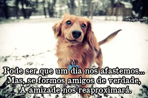 Amizade - Imagens, Recados, gifs e Mensagens para Facebook, orkut ... Amizade - Imagens, Recados, gifs e Mensagens para Facebook, orkut ...
