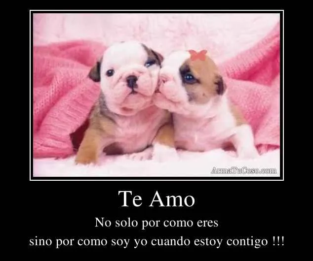 Te Amo