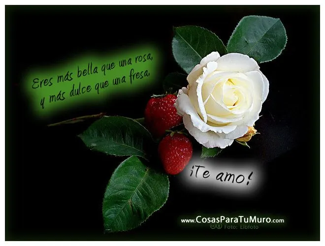 Eres más bella que una rosa...