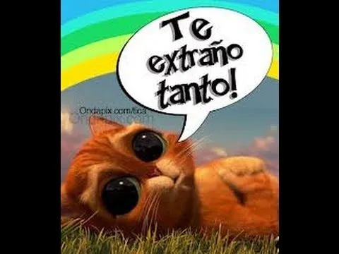 TE AMO, MUCHO AMOR POR FAVOR PERDÓNAME AMOR TE AMO Y TE EXTRAÑO ...