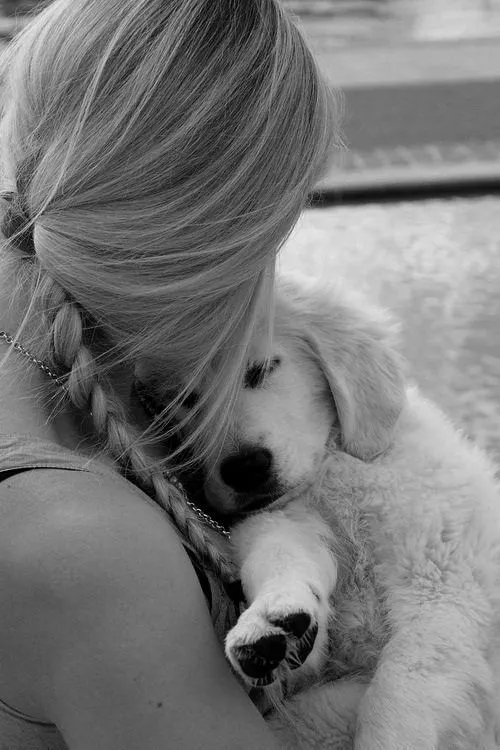 amo animal | Tumblr
