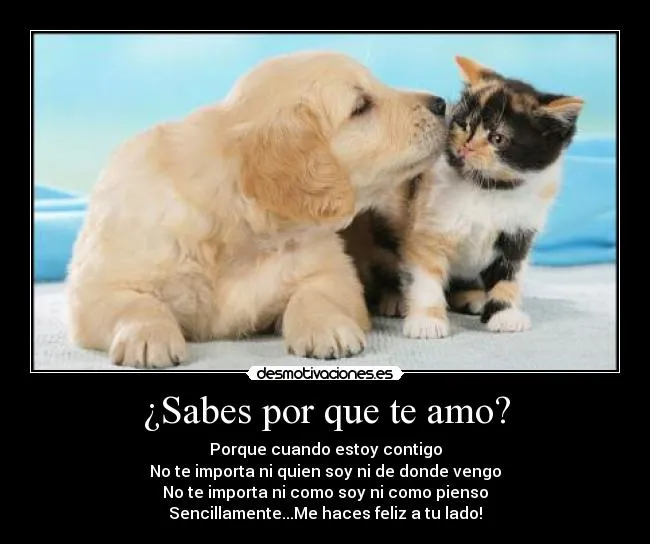 Sabes por que te amo? | Desmotivaciones