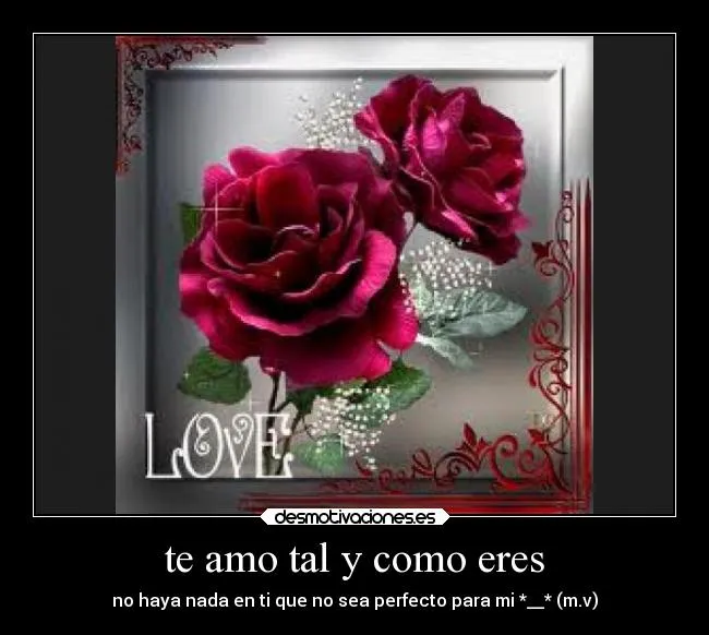 te amo tal y como eres | Desmotivaciones