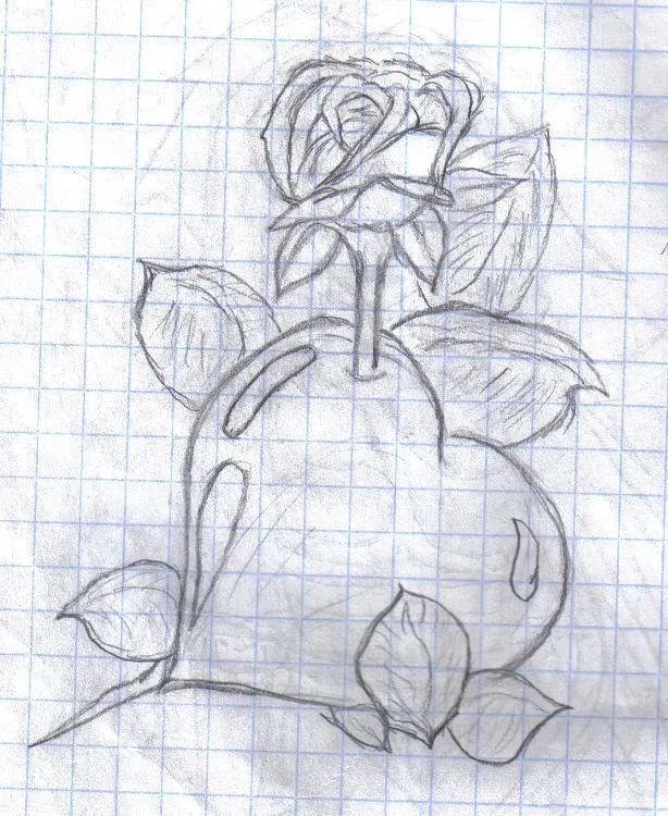 rosa.jpg