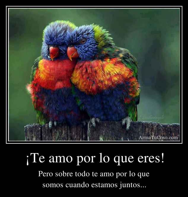 Te amo por lo que eres!