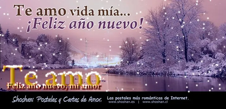 Te amo, feliz año nuevo mi amor | Shoshan