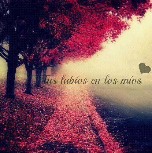 Amor we heart it - Imagui