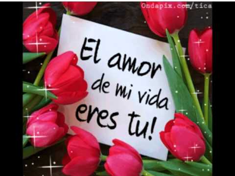 Te Amo gracias x estos 2 meses de novios ..... te amo Cesar - YouTube