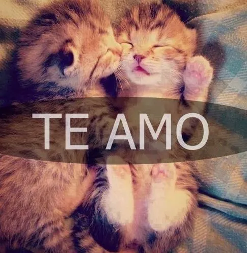 Te Amo | Imagenes Para Compartir