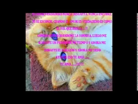 te amo mi leoncito - YouTube