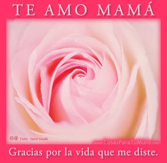 te_amo_mama-other.jpg
