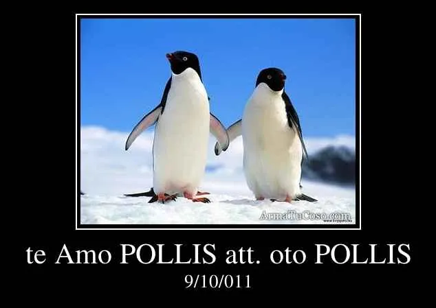 te Amo POLLIS att. oto POLLIS