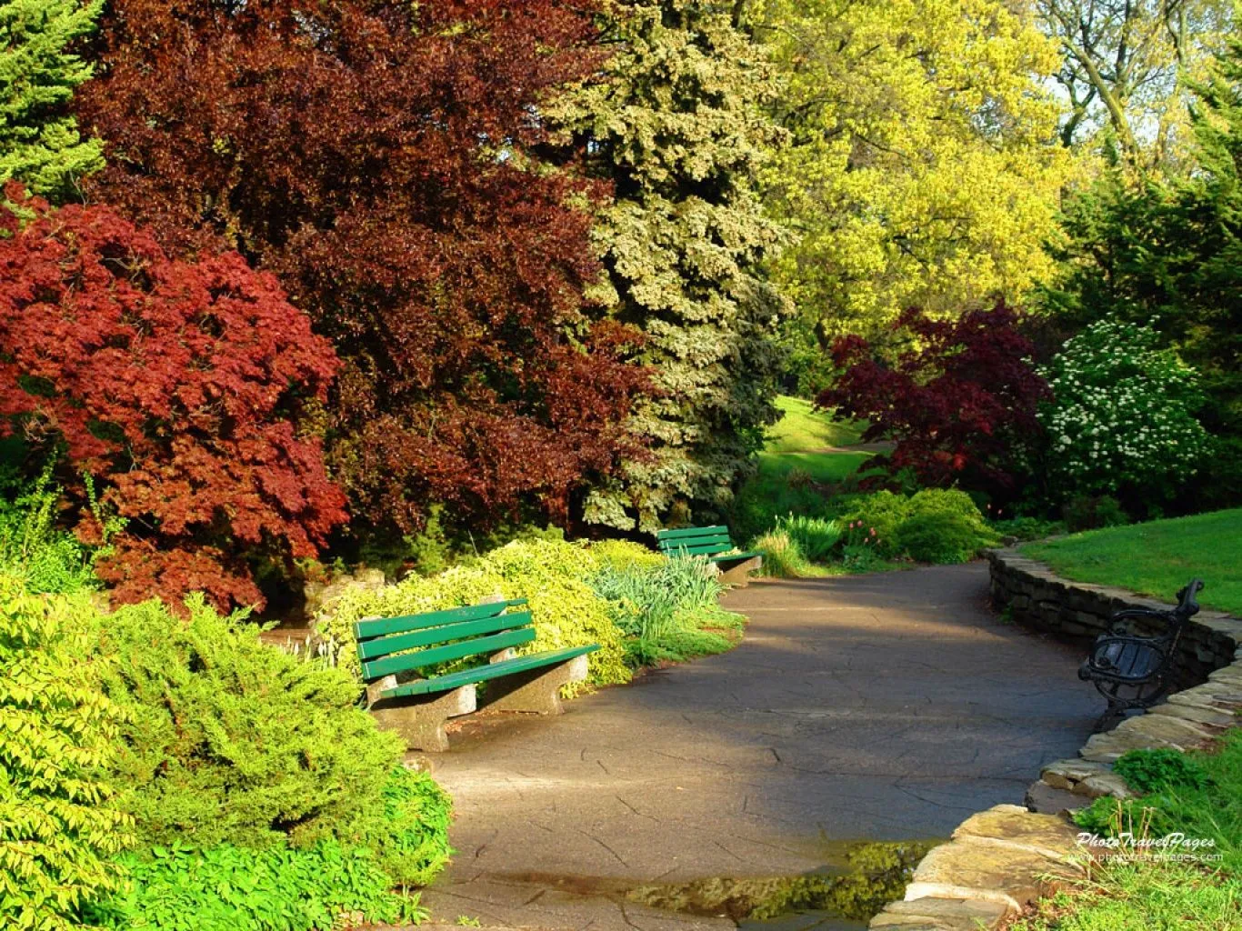 amo a Shane Gray: Paisajes para fotomontajes amo a Shane Gray: Paisajes para fotomontajes