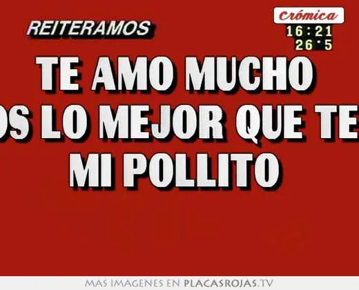 Te amo pollito - Imagui