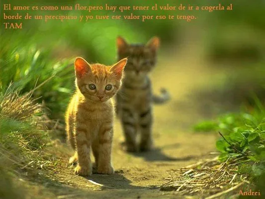 El valor del Amor