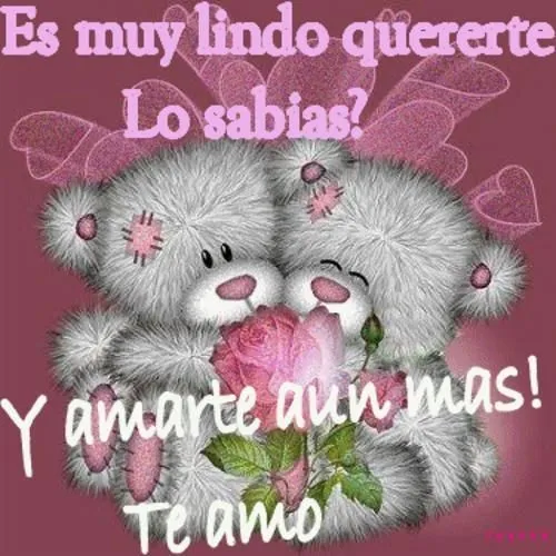 Dia De Los Enamorados | Mi amor... Te amo ! - Part 3
