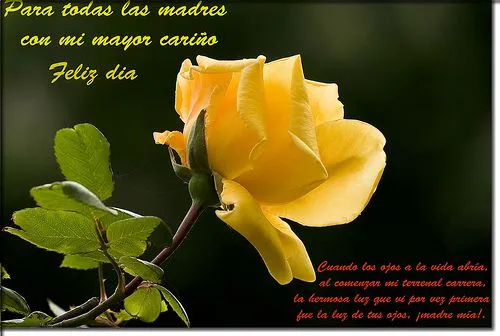 Amor y Amistad con Frases, Día de San Valentin 2015, Día de la ... Amor y Amistad con Frases, Día de San Valentin 2015, Día de la ...