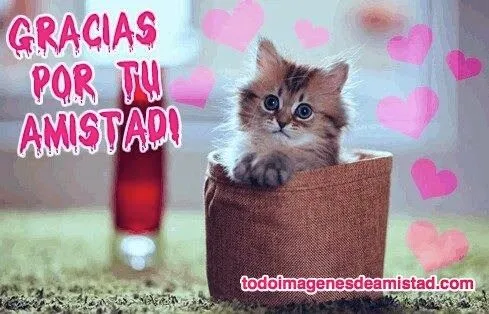 Día del amor y la amistad, imagenes,postales,tarjetas, fotos ...