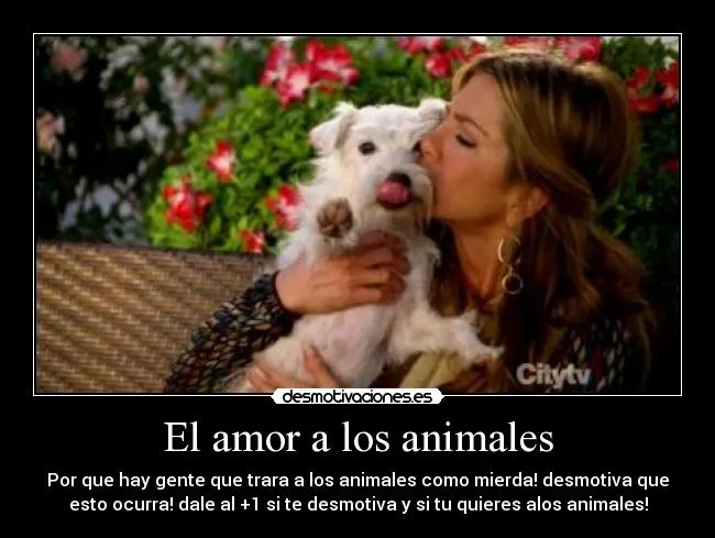 El amor a los animales | Desmotivaciones