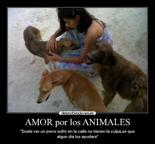 AMOR por los ANIMALES | Desmotivaciones