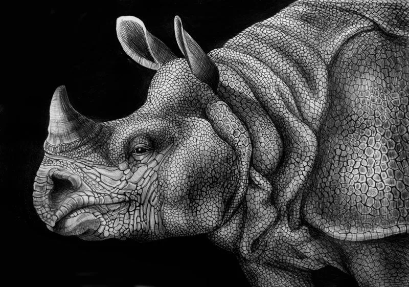 Por Amor al Arte: Dibujos detallados de animales utilizando sólo ... Por Amor al Arte: Dibujos detallados de animales utilizando sólo ...