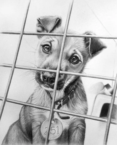 Por Amor al Arte: Dibujos Impresionantes hechos con lapiz . Por Amor al Arte: Dibujos Impresionantes hechos con lapiz .