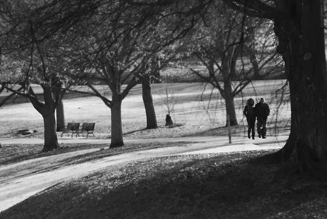 Amor... En Blanco y Negro... Love in Black and white | Flickr ... Amor... En Blanco y Negro... Love in Black and white | Flickr ...