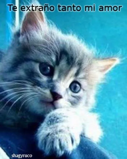 Amor bonitas con frases - Imágenes de facebook Postales Bonitas ... Amor bonitas con frases - Imágenes de facebook Postales Bonitas ...