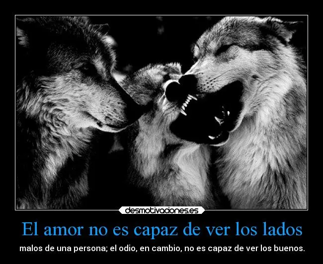 Carteles de Lobos Pag. 12 | Desmotivaciones