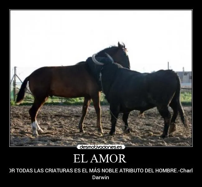 Carteles de Caballos Pag. 7 | Desmotivaciones Carteles de Caballos Pag. 7 | Desmotivaciones